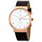 ساعت مچی مردانه اسکاگن(SKAGEN) مدل SKW6371