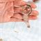 ساعت مچی زنانه گس(GUESS) مدل GW0476L3