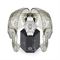 ساعت مچی زنانه فیلیپ پلین(Philipp Plein) مدل PWNAA1023