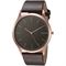 ساعت مچی مردانه اسکاگن(SKAGEN) مدل SKW6330