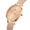 ساعت مچی زنانه دنیل ولینگتون(DANIEL WELLINGTON) مدل DW00100470