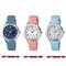 ساعت مچی زنانه کاسیو (CASIO) جنرال مدل LTP-1390LB-2BDF