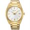 ساعت مچی مردانه سیکو(SEIKO) مدل SUR314P1