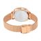 ساعت مچی زنانه اسکاگن(SKAGEN) مدل SKW2401