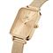 ساعت مچی زنانه دنیل ولینگتون(DANIEL WELLINGTON) مدل DW00100485
