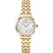 ساعت مچی زنانه فلیپ واچ(Philip Watch) مدل R8253150511