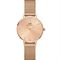 ساعت مچی زنانه دنیل ولینگتون(DANIEL WELLINGTON) مدل DW00100470
