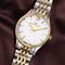 ساعت مچی زنانه فلیپ واچ(Philip Watch) مدل R8253217510