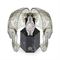 ساعت مچی زنانه فیلیپ پلین(Philipp Plein) مدل PWYAA0123