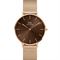 ساعت مچی زنانه دنیل ولینگتون(DANIEL WELLINGTON) مدل DW00100478
