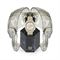 ساعت مچی مردانه فیلیپ پلین(Philipp Plein) مدل PWSAA0423