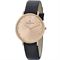 ساعت مچی زنانه پیر کاردین(PIERRE CARDIN) مدل CBV.1017