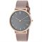 ساعت مچی زنانه اسکاگن(SKAGEN) مدل SKW2675