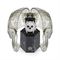 ساعت مچی مردانه فیلیپ پلین(Philipp Plein) مدل PWVAA0123