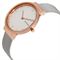 ساعت مچی زنانه اسکاگن(SKAGEN) مدل SKW2616