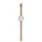 ساعت مچی زنانه اسکاگن(SKAGEN) مدل SKW1100