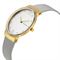ساعت مچی زنانه اسکاگن(SKAGEN) مدل SKW2381