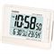 ساعت مچی کاسیو (CASIO) جنرال مدل DQ-980-7DF