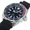 ساعت مچی مردانه سیکو(SEIKO) مدل SRPB53K1