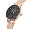 ساعت مچی زنانه دنیل ولینگتون(DANIEL WELLINGTON) مدل DW00100591