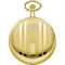 ساعت مچی مردانه فستینا(FESTINA) مدل F2031/1