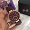 ساعت مچی زنانه مایکل کورس(MICHAEL KORS) مدل MK2580