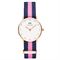 ساعت مچی زنانه دنیل ولینگتون(DANIEL WELLINGTON) مدل DW00100065