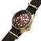 ساعت مچی مردانه سیکو(SEIKO) مدل SRPH80K1