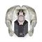 ساعت مچی زنانه فیلیپ پلین(Philipp Plein) مدل PWTAA0123