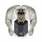 ساعت مچی مردانه فیلیپ پلین(Philipp Plein) مدل PWVAA0223