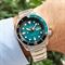 ساعت مچی مردانه سیکو(SEIKO) مدل SRPJ45K1