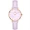 ساعت مچی زنانه دنیل ولینگتون(DANIEL WELLINGTON) مدل DW00100634