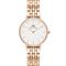 ساعت مچی زنانه دنیل ولینگتون(DANIEL WELLINGTON) مدل DW00100666