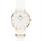ساعت مچی زنانه دنیل ولینگتون(DANIEL WELLINGTON) مدل DW00100311