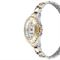 ساعت مچی زنانه فیلیپ پلین(Philipp Plein) مدل PWPOA0424