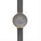 ساعت مچی زنانه اسکاگن(SKAGEN) مدل SKW2689