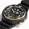 ساعت مچی مردانه سیکو(SEIKO) مدل SNE498P1