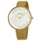 ساعت مچی زنانه اسکاگن(SKAGEN) مدل SKW2141