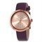 ساعت مچی زنانه مایکل کورس(MICHAEL KORS) مدل MK2575