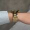 ساعت مچی زنانه گس(GUESS) مدل GW0769L2