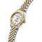 ساعت مچی زنانه فلیپ واچ(Philip Watch) مدل R8253597633