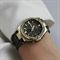ساعت مچی زنانه کاسیو (CASIO) جی شاک مدل MSG-S200WLP-5ADR
